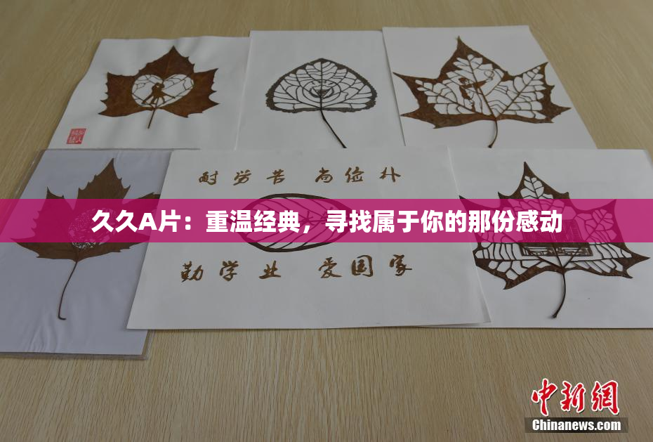久久A片：重温经典，寻找属于你的那份感动