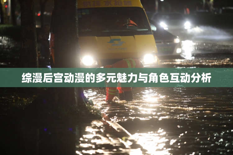 综漫后宫动漫的多元魅力与角色互动分析