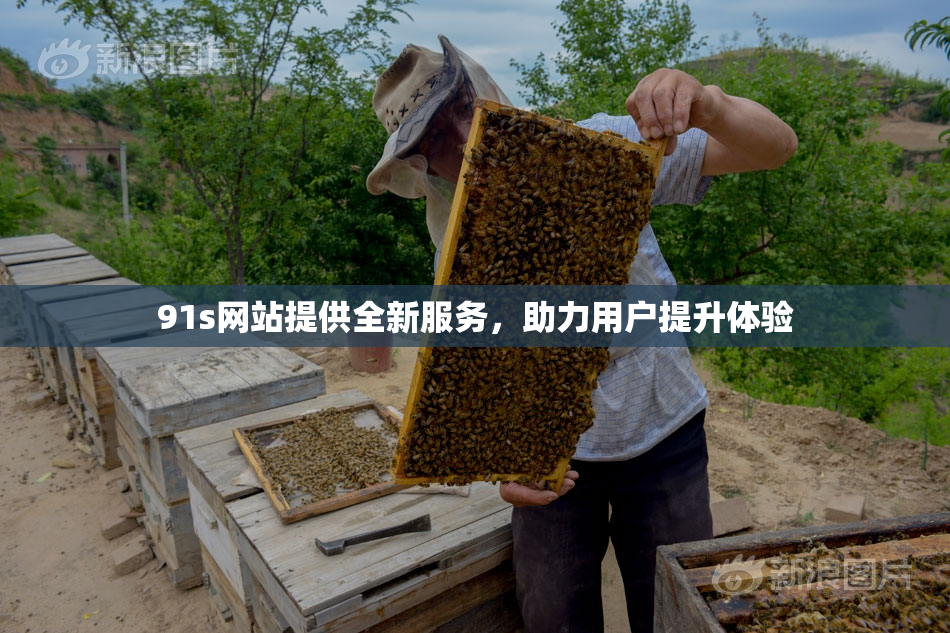 91s网站提供全新服务，助力用户提升体验