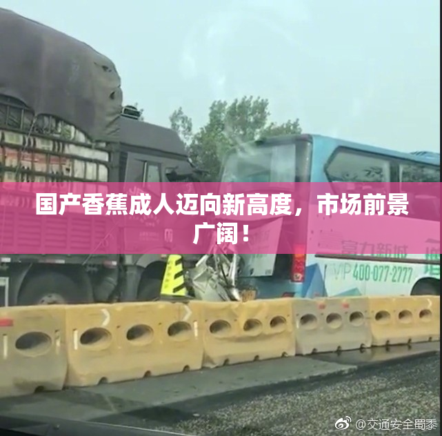国产香蕉成人迈向新高度，市场前景广阔！