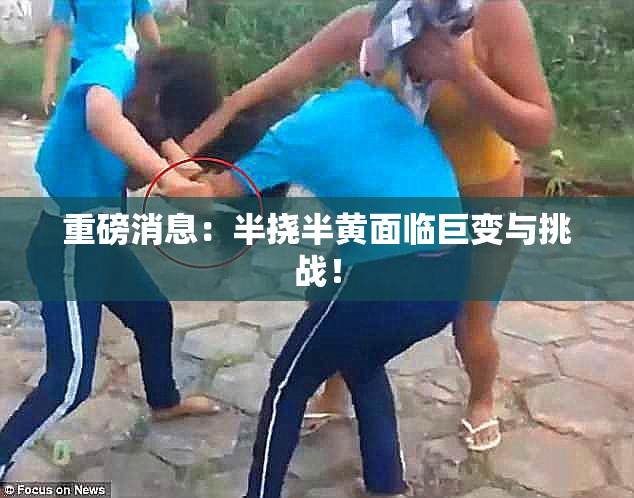 重磅消息：半挠半黄面临巨变与挑战！