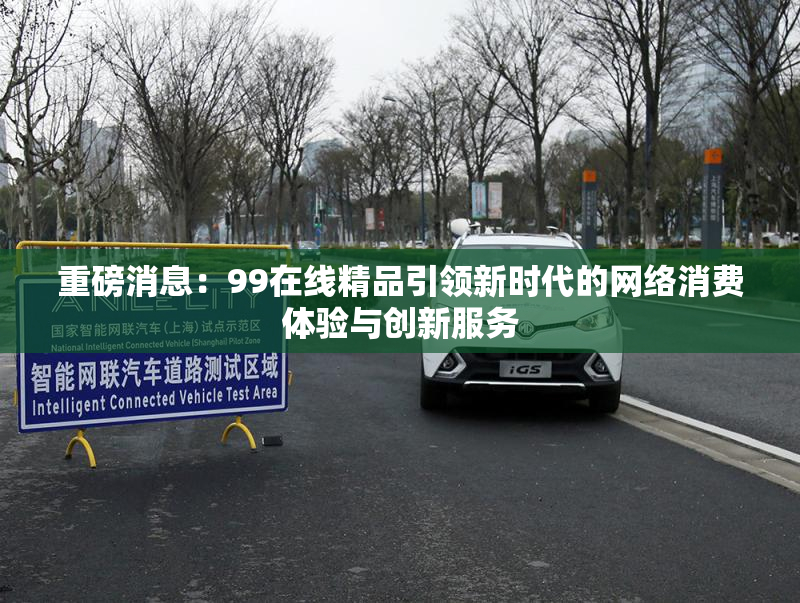 重磅消息：99在线精品引领新时代的网络消费体验与创新服务