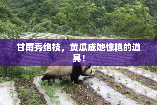 甘雨秀绝技，黄瓜成她惊艳的道具！