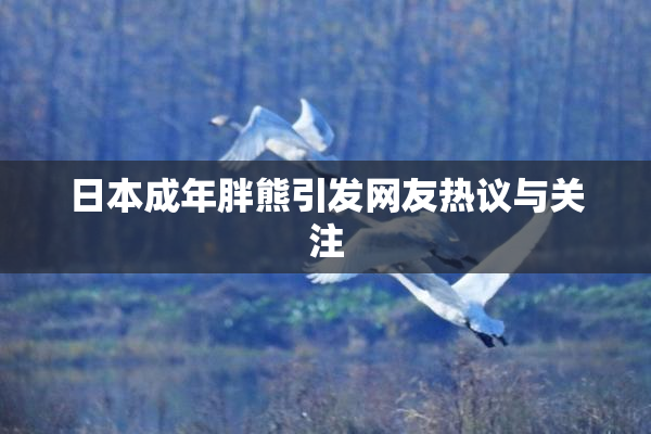 日本成年胖熊引发网友热议与关注