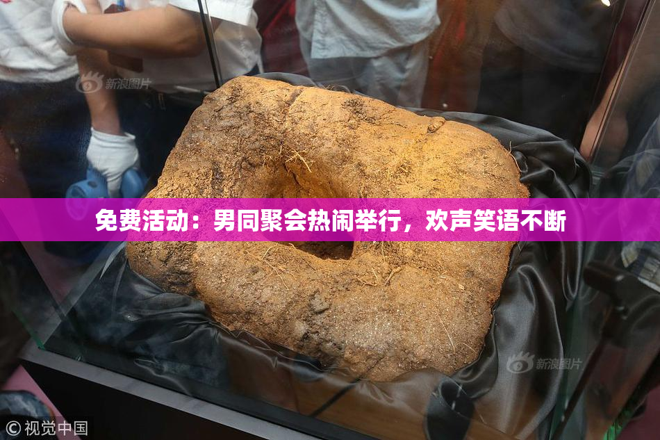 免费活动：男同聚会热闹举行，欢声笑语不断