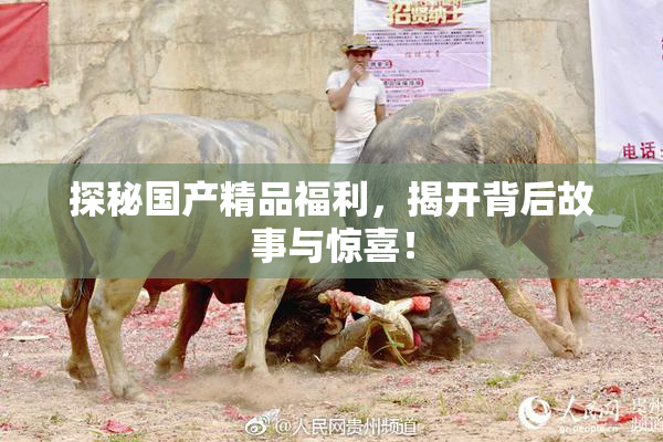 探秘国产精品福利，揭开背后故事与惊喜！