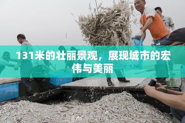 131米的壮丽景观，展现城市的宏伟与美丽