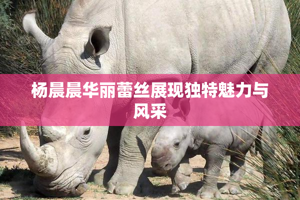 杨晨晨华丽蕾丝展现独特魅力与风采