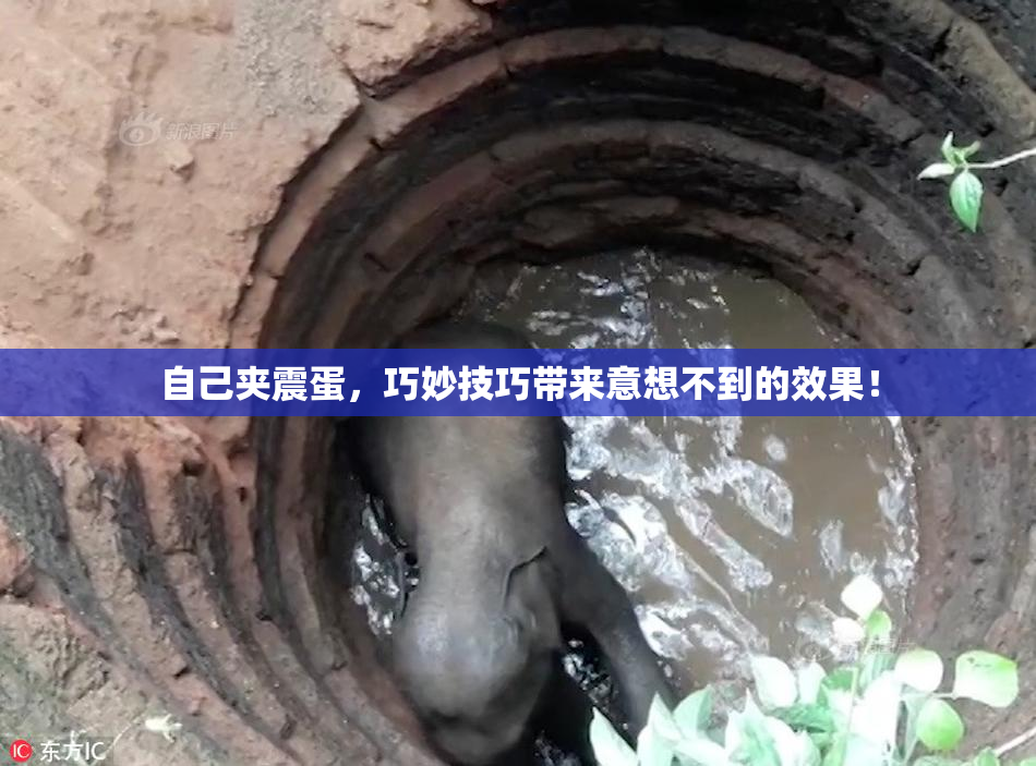 自己夹震蛋，巧妙技巧带来意想不到的效果！