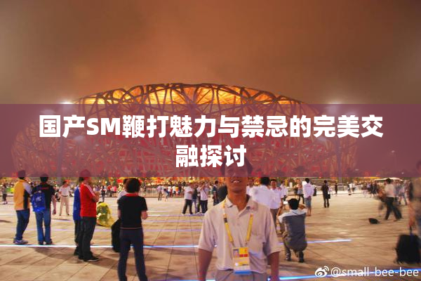 国产SM鞭打魅力与禁忌的完美交融探讨