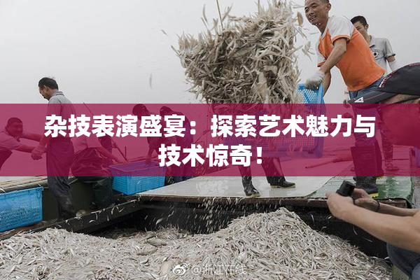 杂技表演盛宴：探索艺术魅力与技术惊奇！