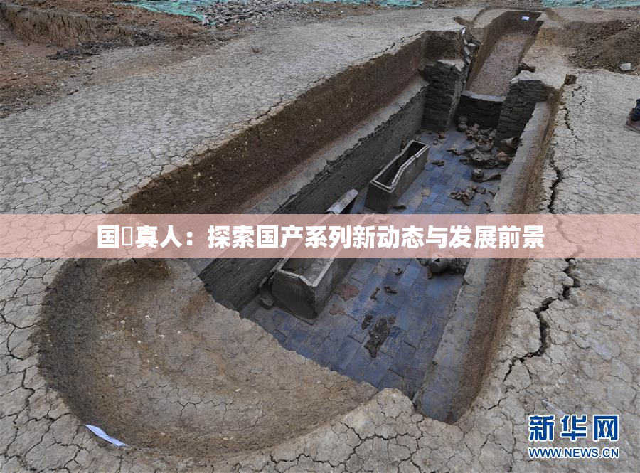 国産真人：探索国产系列新动态与发展前景