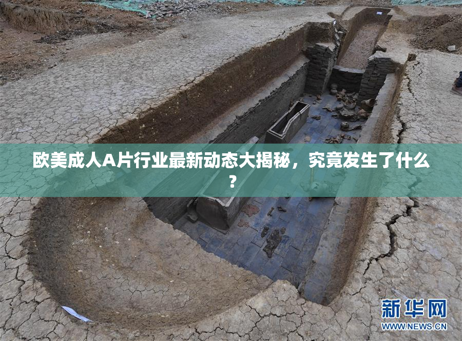 欧美成人A片行业最新动态大揭秘，究竟发生了什么？