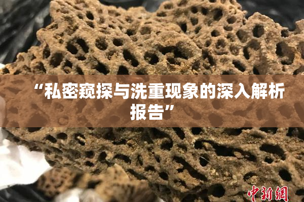 “私密窥探与洗重现象的深入解析报告”