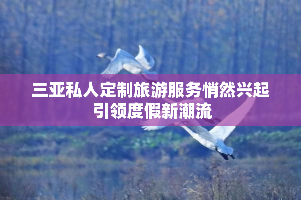三亚私人定制旅游服务悄然兴起 引领度假新潮流