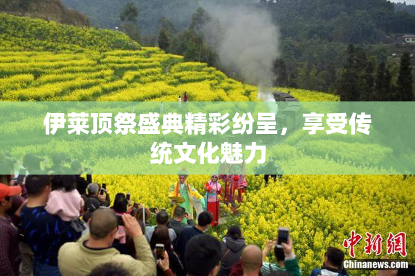 伊莱顶祭盛典精彩纷呈，享受传统文化魅力