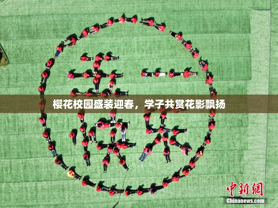 樱花校园盛装迎春，学子共赏花影飘扬
