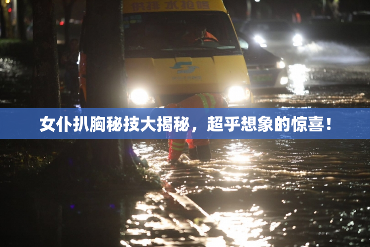 女仆扒胸秘技大揭秘，超乎想象的惊喜！