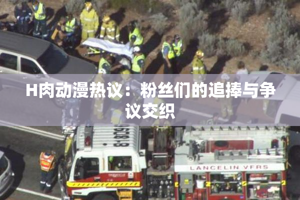 H肉动漫热议：粉丝们的追捧与争议交织