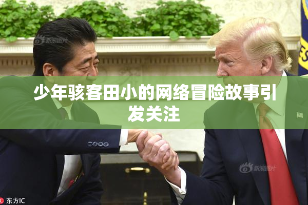 少年骇客田小的网络冒险故事引发关注