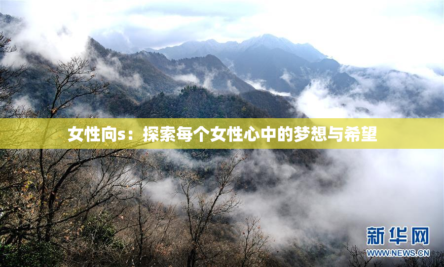 女性向s：探索每个女性心中的梦想与希望