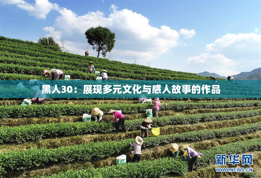 黑人30：展现多元文化与感人故事的作品