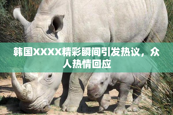 韩国XXXX精彩瞬间引发热议，众人热情回应