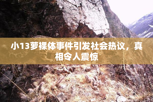 小13萝裸体事件引发社会热议，真相令人震惊