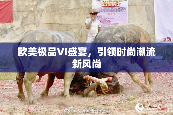 欧美极品VI盛宴，引领时尚潮流新风尚