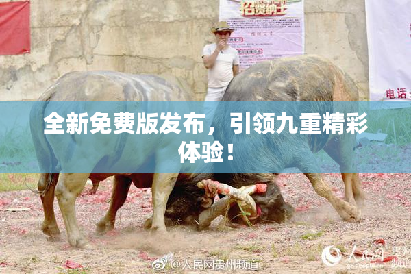 全新免费版发布，引领九重精彩体验！