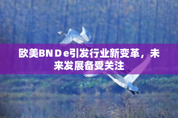 欧美BNＤe引发行业新变革，未来发展备受关注