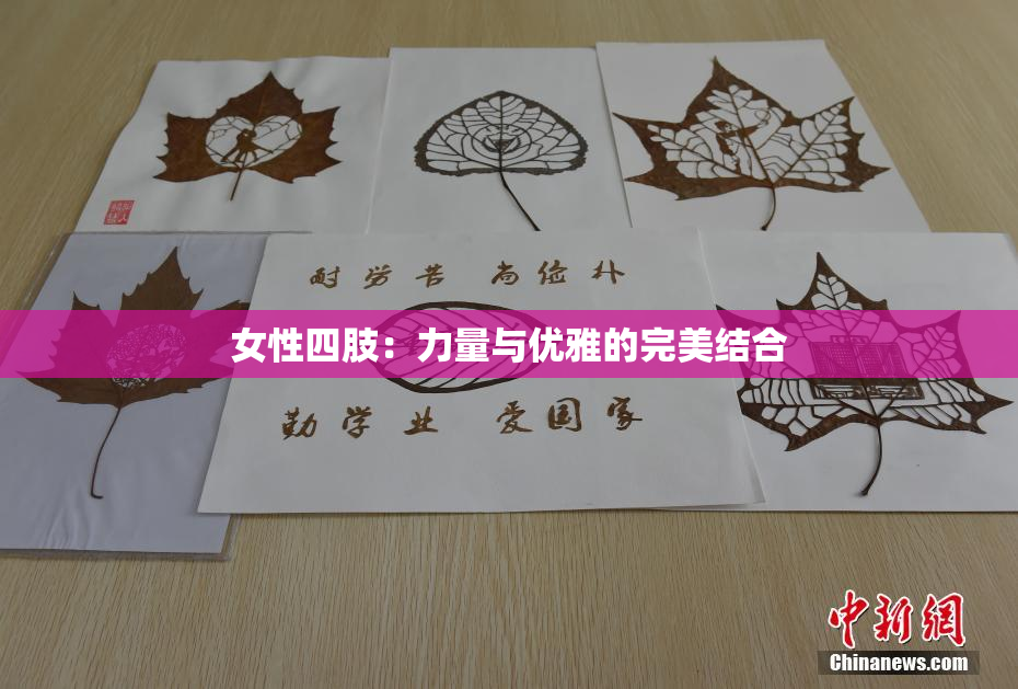 女性四肢：力量与优雅的完美结合
