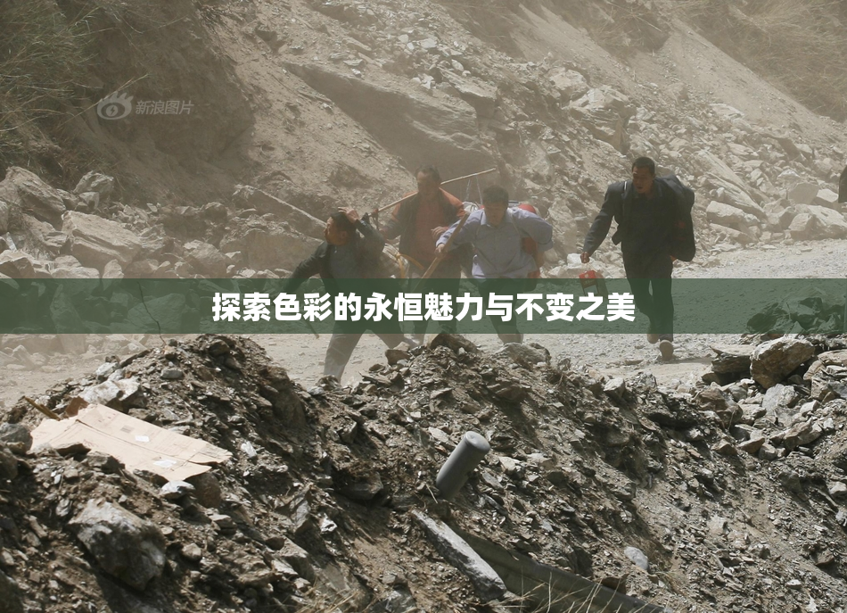 探索色彩的永恒魅力与不变之美