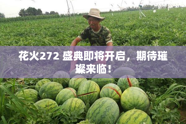 花火272 盛典即将开启，期待璀璨来临！