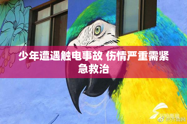 少年遭遇触电事故 伤情严重需紧急救治