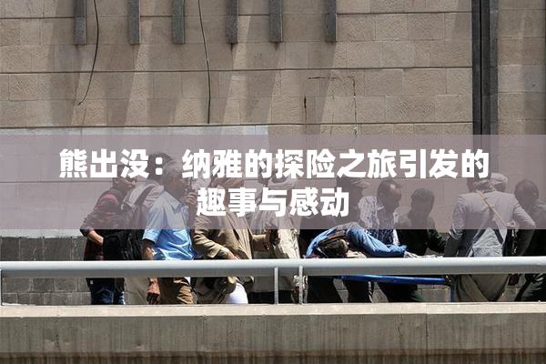 熊出没：纳雅的探险之旅引发的趣事与感动