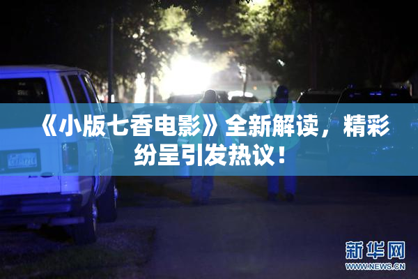《小版七香电影》全新解读，精彩纷呈引发热议！