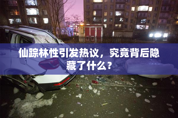 仙踪林性引发热议，究竟背后隐藏了什么？