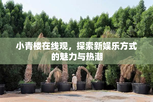 小青楼在线观，探索新娱乐方式的魅力与热潮