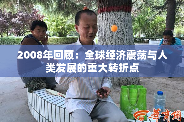 2008年回顾：全球经济震荡与人类发展的重大转折点