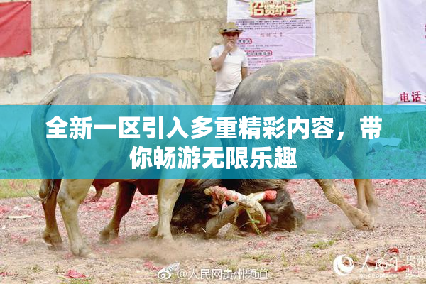 全新一区引入多重精彩内容，带你畅游无限乐趣