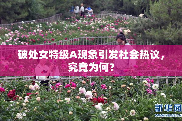 破处女特级A现象引发社会热议，究竟为何？