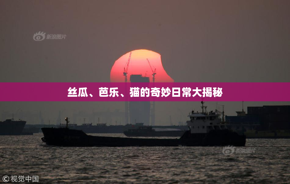 丝瓜、芭乐、猫的奇妙日常大揭秘