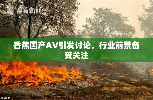 香蕉国产AV引发讨论，行业前景备受关注