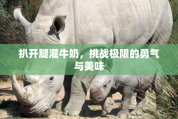扒开腿灌牛奶，挑战极限的勇气与美味