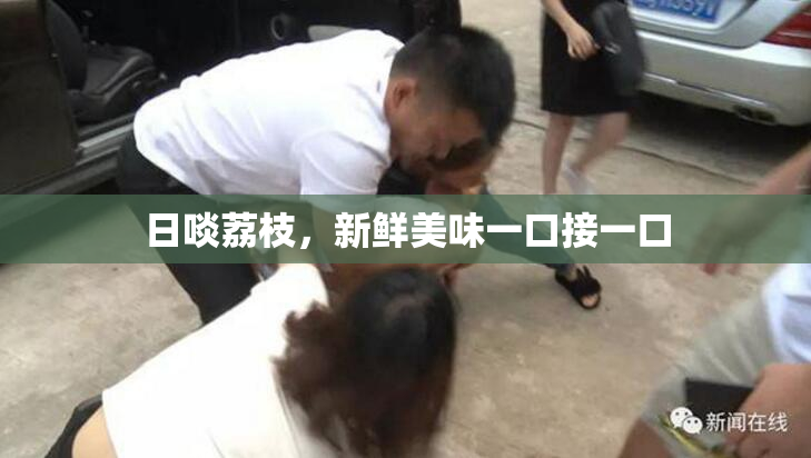 日啖荔枝，新鲜美味一口接一口