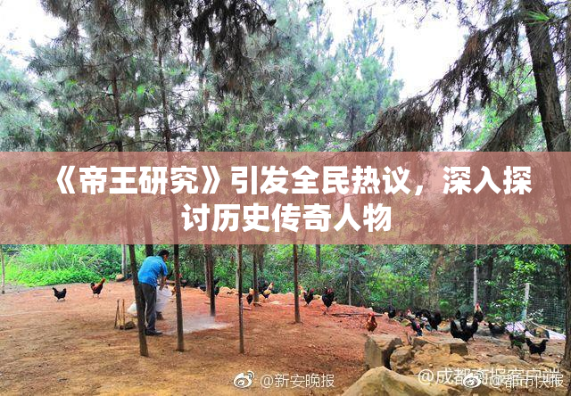 《帝王研究》引发全民热议，深入探讨历史传奇人物