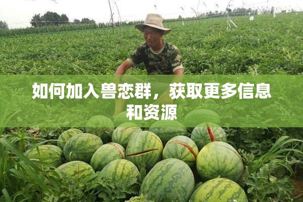 如何加入兽恋群，获取更多信息和资源