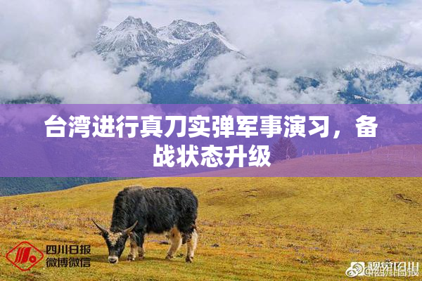台湾进行真刀实弹军事演习，备战状态升级