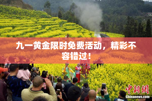 九一黄金限时免费活动，精彩不容错过！